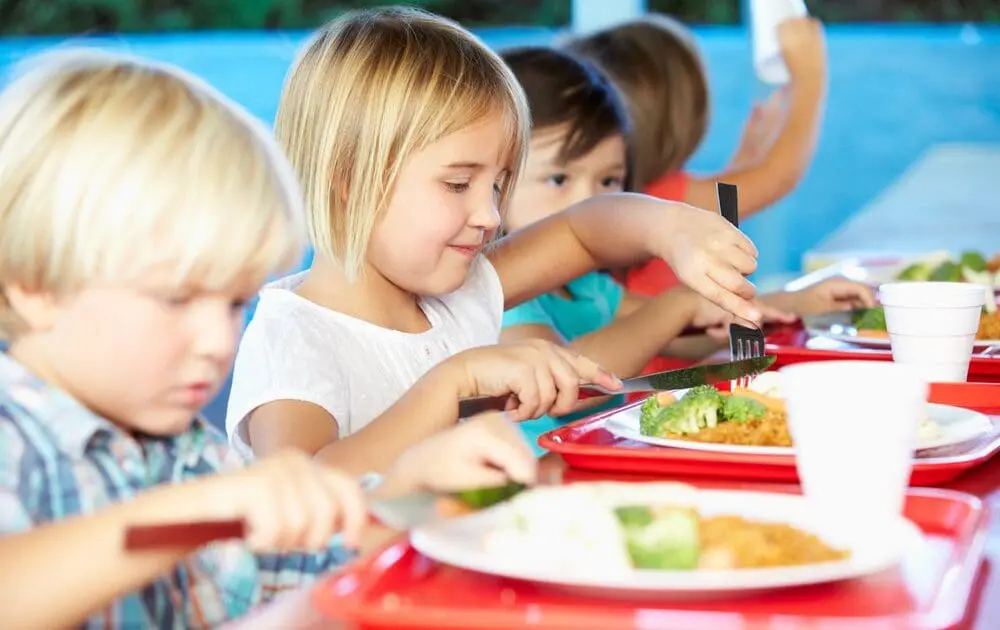 vegan school lunches