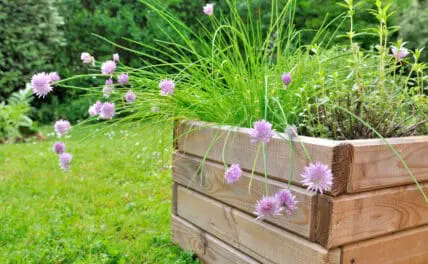Self-watering planters are helpful to have.