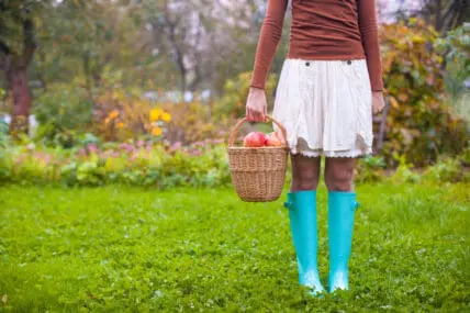 Is Organic Food the Secret to Reviving Small Town America?