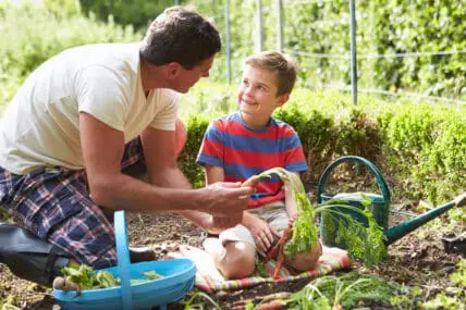 How to Improve Your Garden Soil Naturally for the Happiest Garden on the Block