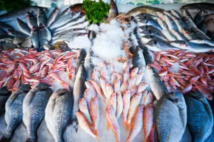fish fraud
