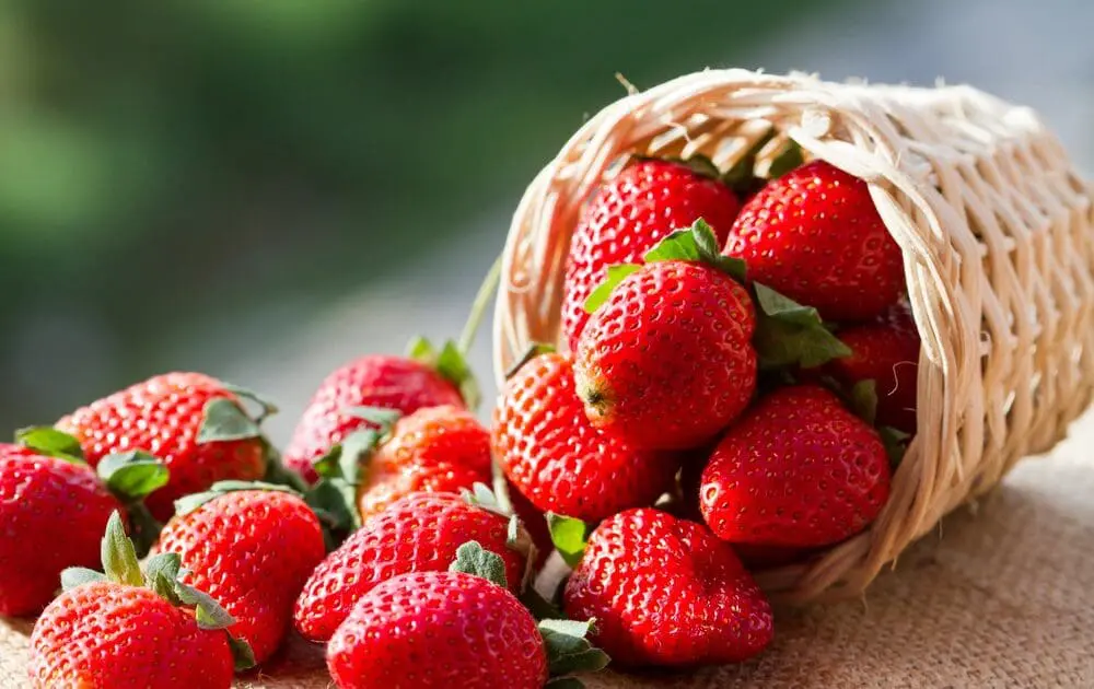 Strawberries Top EWG's Dirty Dozen List