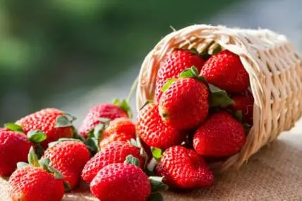 Strawberries Top EWG's Dirty Dozen List
