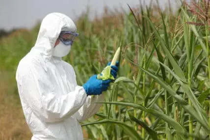 What’s the Biggest Issue With GMOs? (Hint: It’s Not Exactly Labeling)