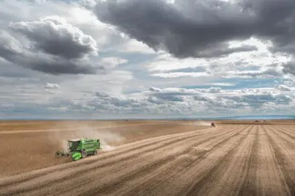 Climate Change Could Mean Widespread Nutrient Deficiency, Says Harvard Researchers