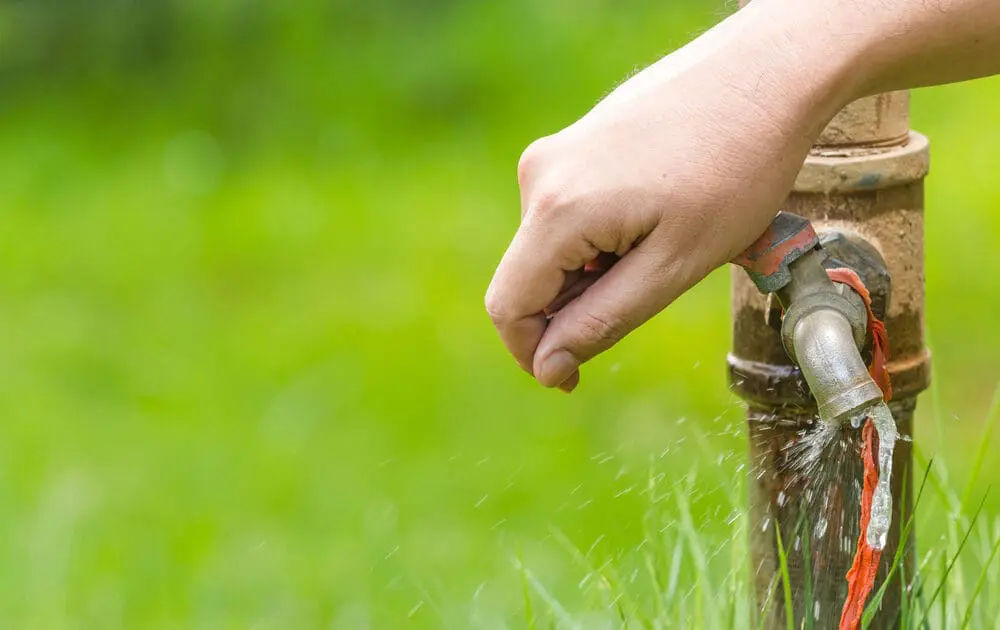 Food companies need to invest in sustainable water.
