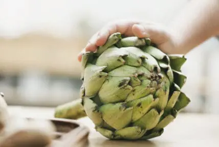 Forget Fat and Antioxidants: Fiber Rich Foods Trump All Food Fads