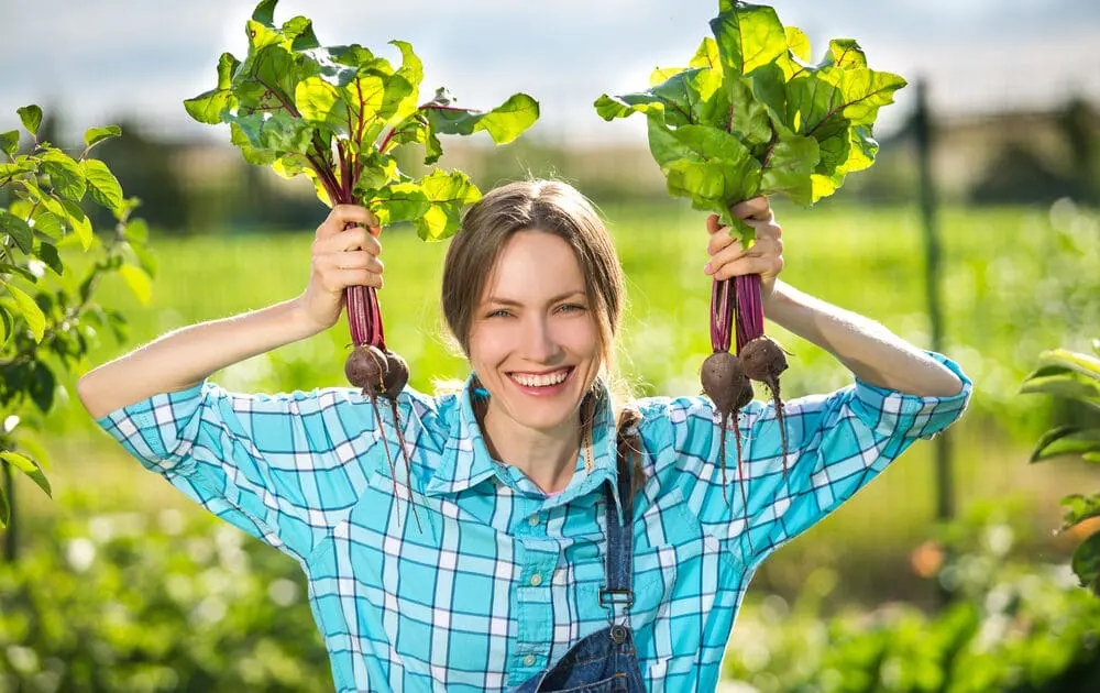 Organic Farming Way More Profitable than Conventional, Study Finds