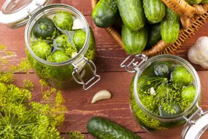 The Top 5 Veggies to Ferment for Kick-Ass Pickles and Krauts