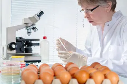 Which Came First, the Lab or the Lab-Grown Egg White?