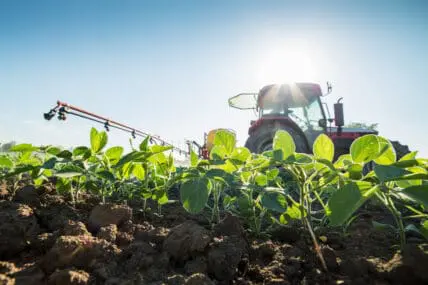 Monsanto's Panicked Farmers Use Illegal Herbicide to Battle Resistant 'Superweeds'