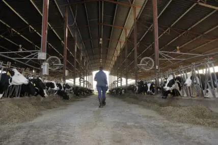 USDA Moves to More Humane Animal Treatment for Organic Label Under Proposed Rule