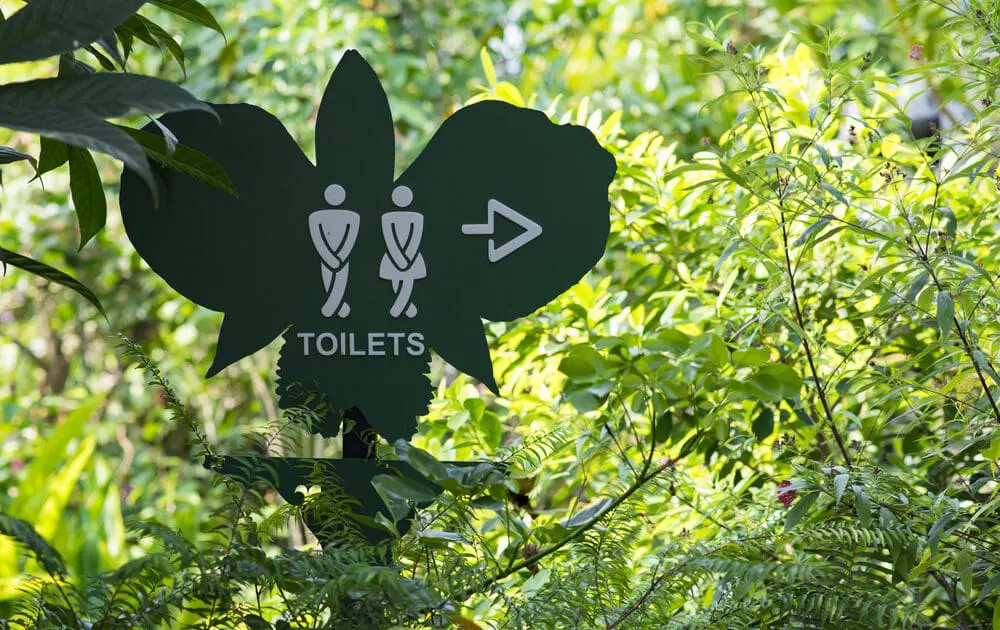 Female Pee Funnel