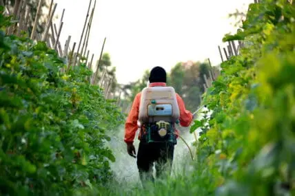 glyphosate cancer link grows complex