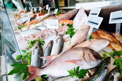 seafood distributors