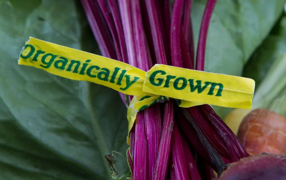 Some farmers think organic certification isn't for them.