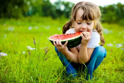 6 Types of Melon to Grow and Eat this Summer: Let the Melon Mania Begin!