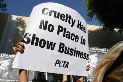 Is Exploiting Sex Okay In The Name of Animal Rights? PETA Debuts Its XXX Domain