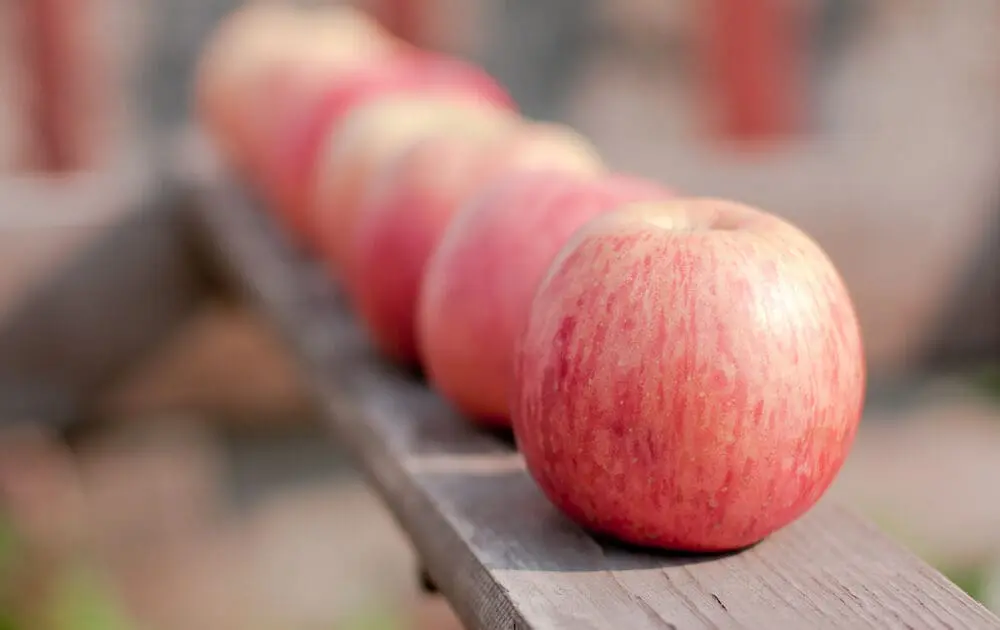 USDA Approves 3rd GMO Apple