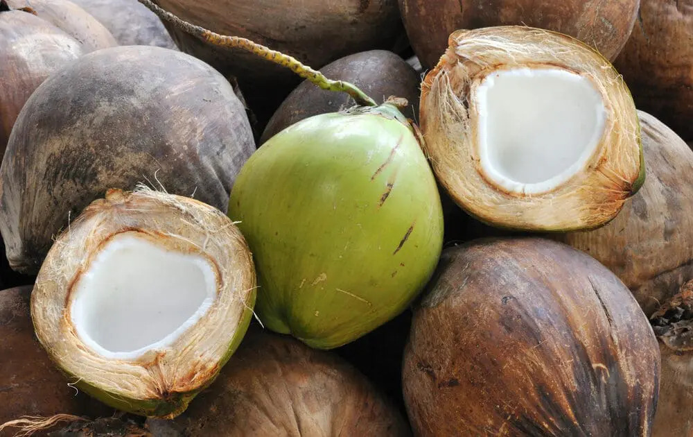 America is Cuckoo for Coconut Water: Healthy Drink or Gimmick? Behind the Label