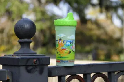 sippy cup photo