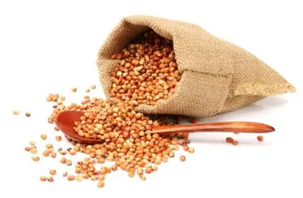 Discover the Sorghum Grain (Plus 11 Sorghum Recipes!)