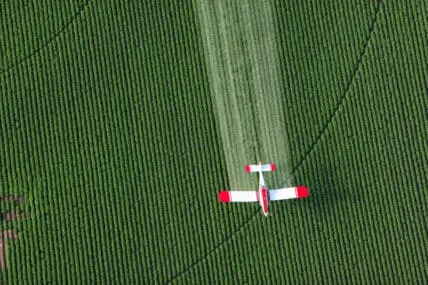 California's EPA to List Monsanto's Roundup Herbicide as a Probable Carcinogen