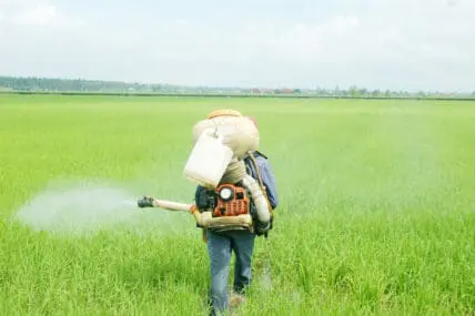 EPA Announces Tougher Rules to Protect Farm Workers from Pesticide Poisoning