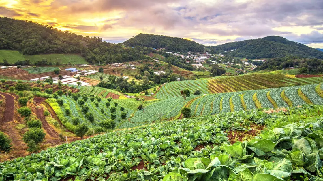 Sustainable Agriculture is the Best Way to Feed the World, New Research Confirms