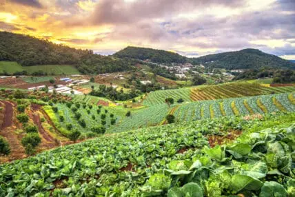 Sustainable Agriculture is the Best Way to Feed the World, New Research Confirms