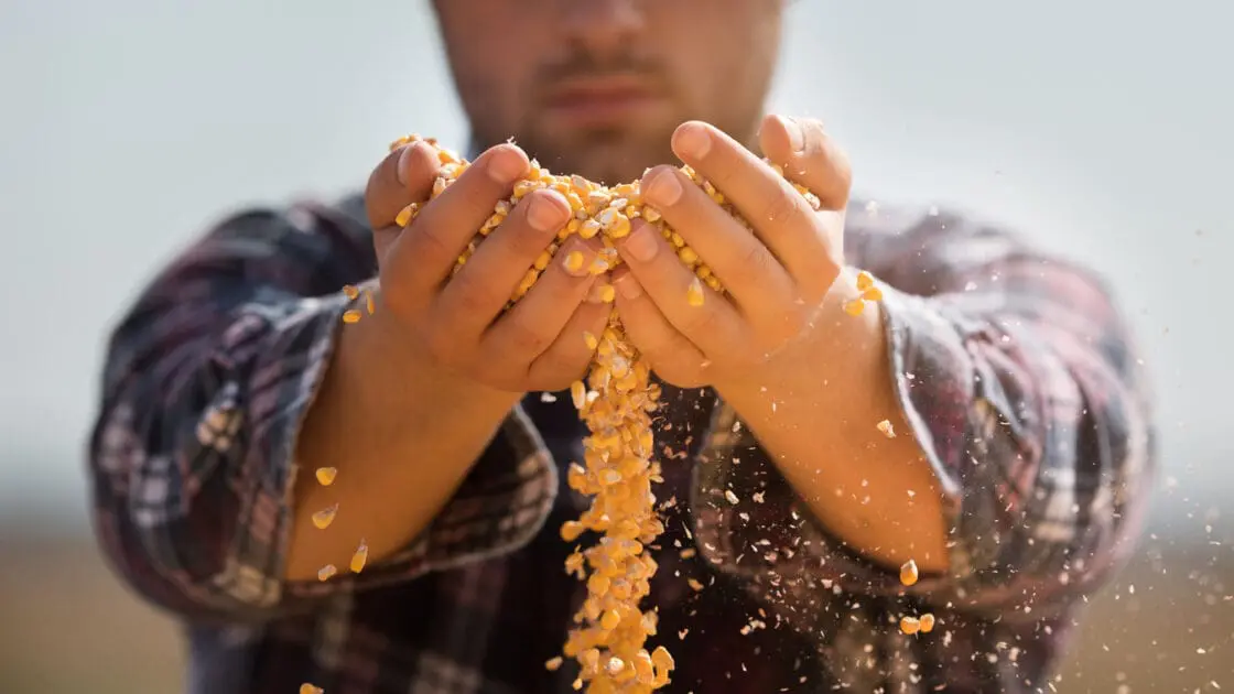The Certified Transitional Label Rewards Farmers Who Believe in Organic