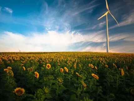 The Global Population Has Already Fully Consumed Earth's Natural Resources for 2018