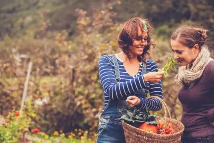 This is How to Grow a Successful Autumn Garden