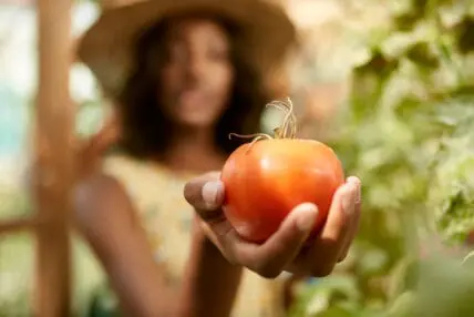 This is Why Tomatoes are Skin Superfoods
