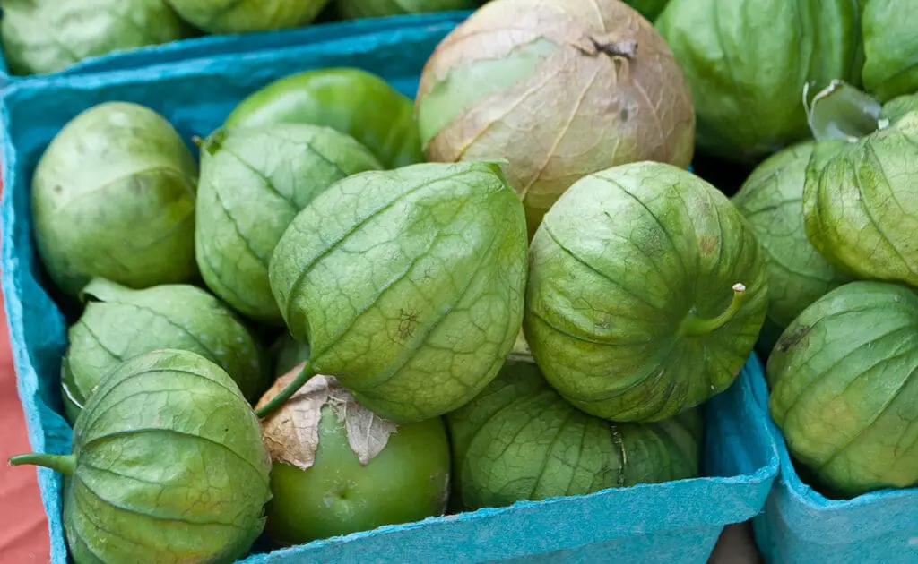 tomatillo