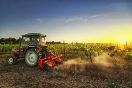 organic farming