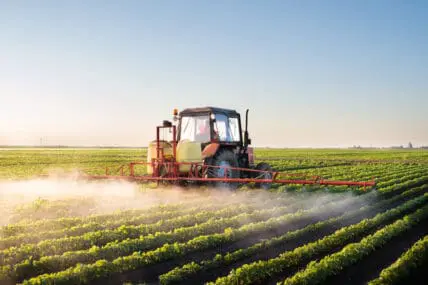 glyphosate
