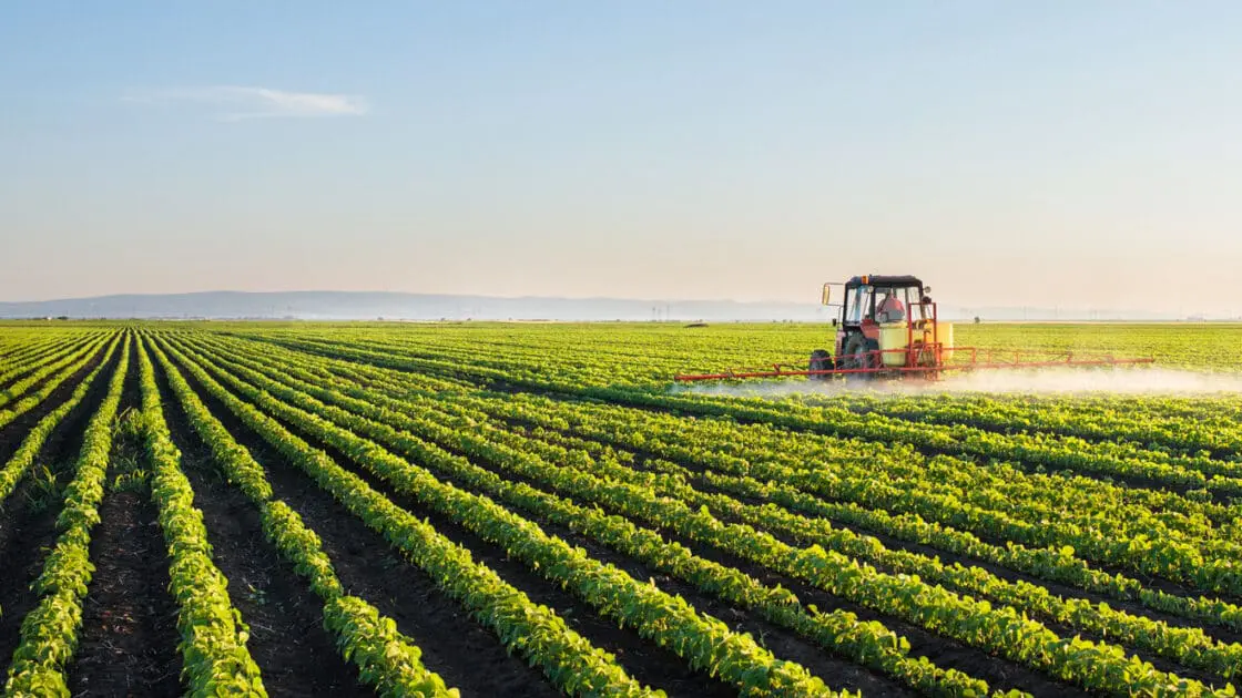 monsanto roundup