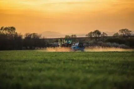gmo safety