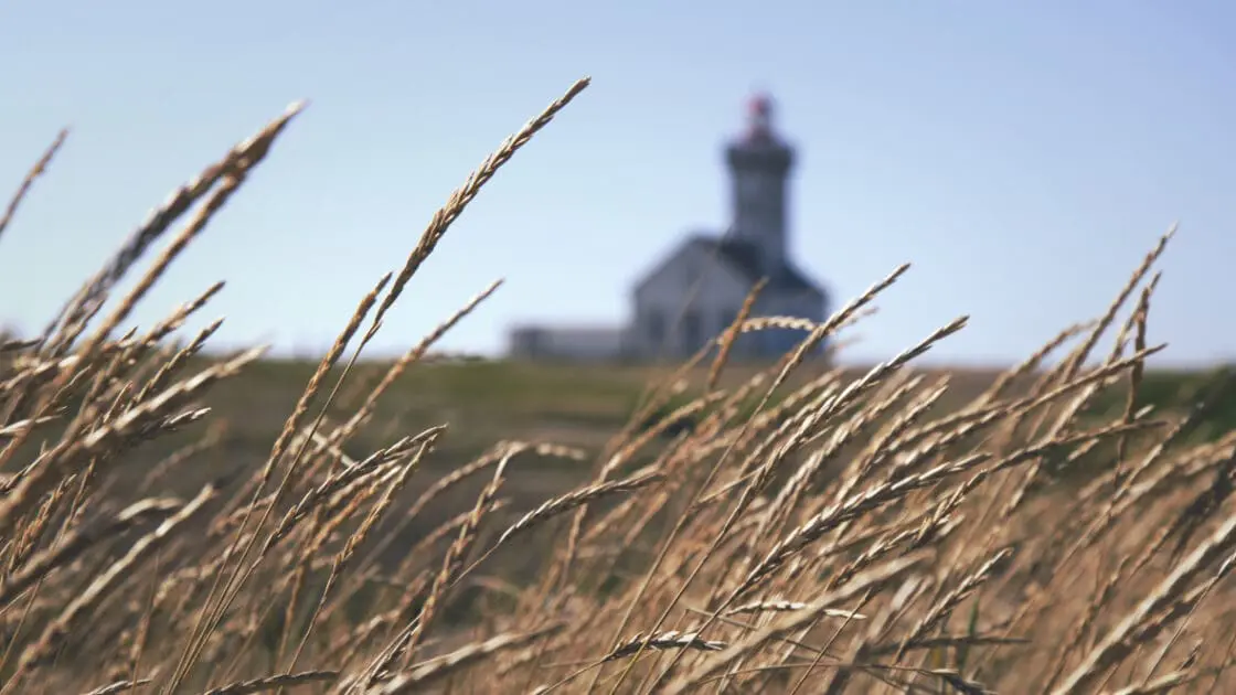 Transparent Organic Grain Sales Facilitated By Startup Mercaris