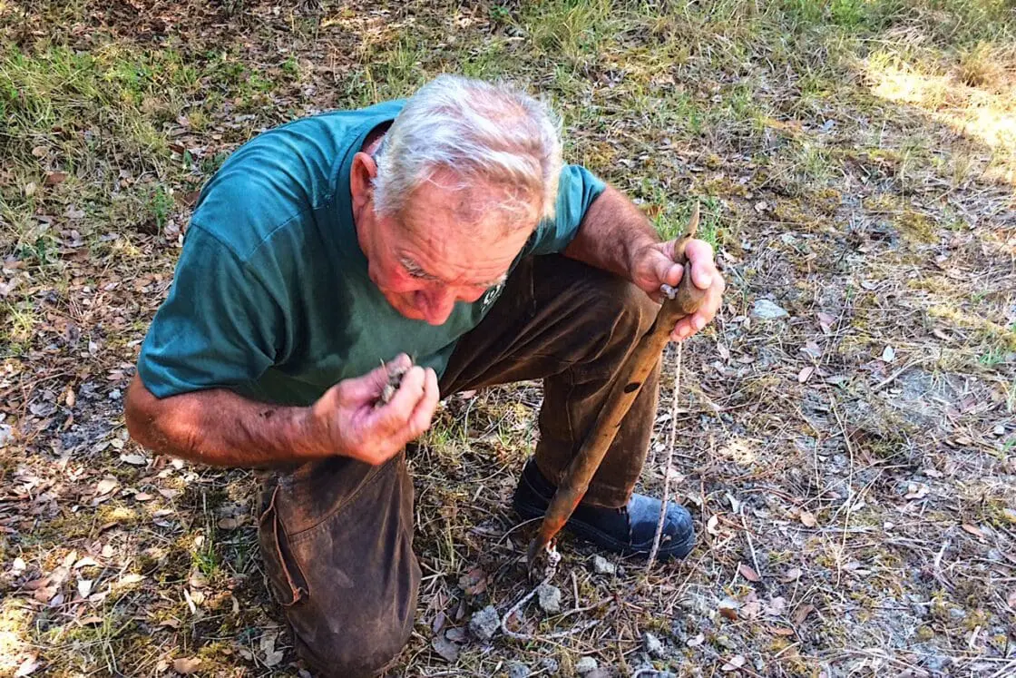 Black truffle hunting