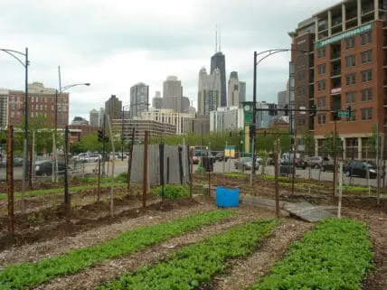 urban farm