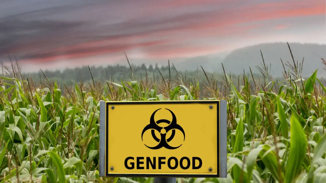 U.S. Earmarks $3M to Promote GMOs