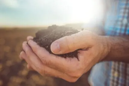 USDA Receives 5,000 Letters Demanding Organic Program Overhaul