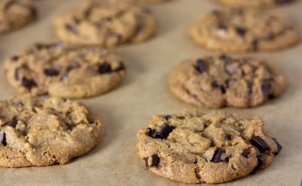 vegan chocolate chip cookies photo