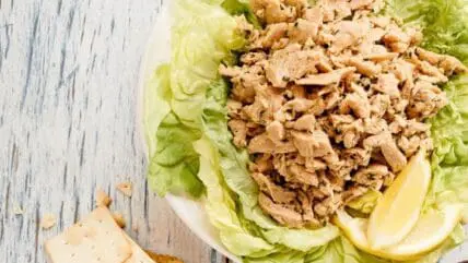Vegan Seafood Brand Good Catch Foods Raises $8.7M in Series A Funding Round