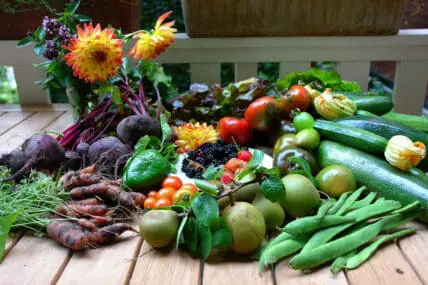 vegetables