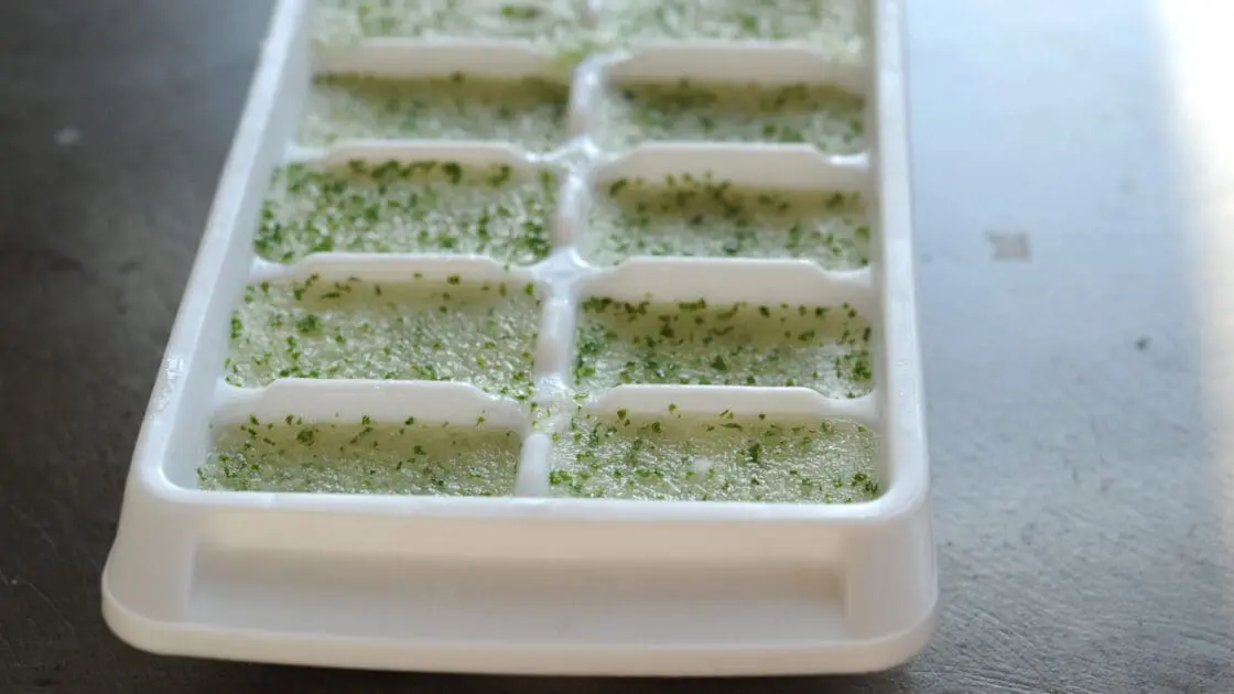 Vodka, Melon and Mint Ice Cubes