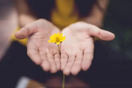What Having a Manifestation Mindset Is All About
