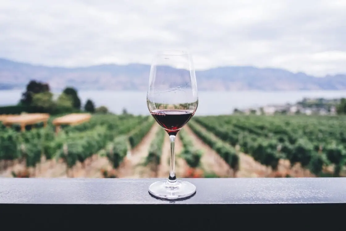 11 Great Wine and Meal Delivery Services in the Time of COVID-2019